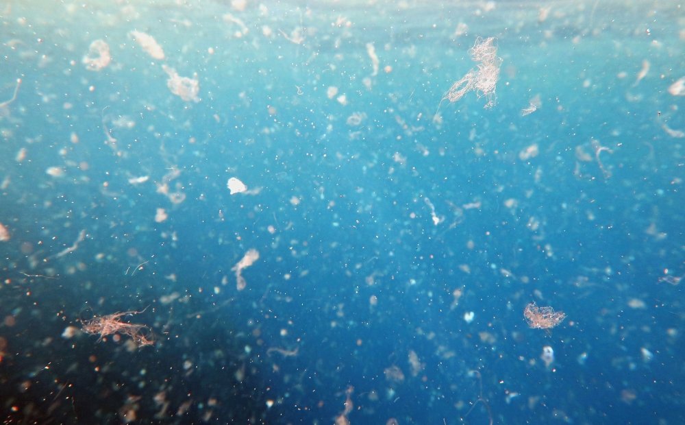 Microplastics in the Ocean