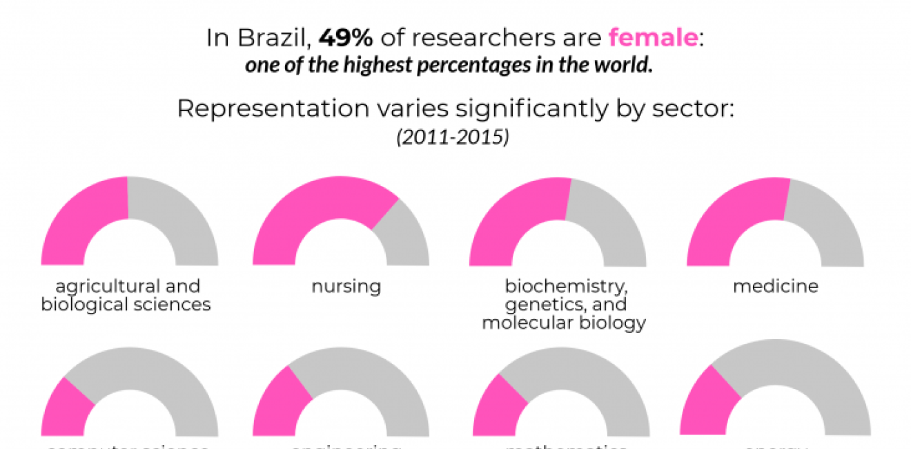 Brazilian Women in STEM