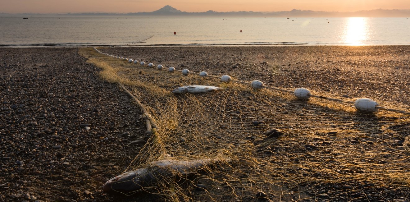 Seine net on beach