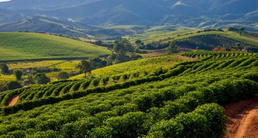 Image - Relatório Final: Diálogo Brasil-EUA sobre Sustentabilidade e Mudanças Climáticas