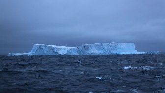 Scientists Need to Reconquer Hearts and Minds With Regard to Climate Change, Says Brito Cruz