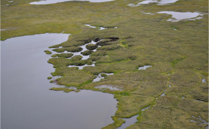 Permafrost degradation