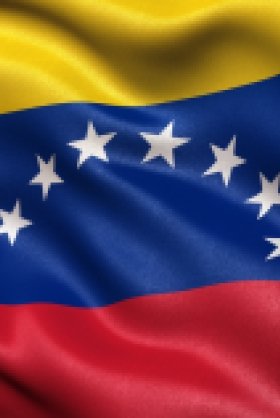 Image - Cover 2 - Venezuela’s Authoritarian Allies The Ties That Bind