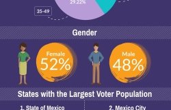 Infographic | Mexico's Voter Demographics