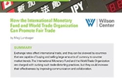 How the International Monetary Fund and World Trade Organization Can Promote Fair Trade