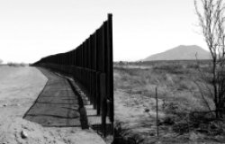 Civil Society, the Government and the Development of Citizen Security