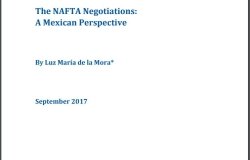The NAFTA Negotiations: A Mexican Perspective