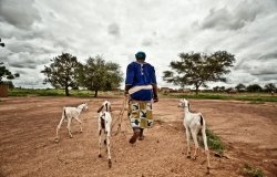 In the Mentao Nord camp in Burkina Faso, a pastoralist walks with three goats