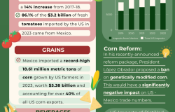US-Mexico Trade in Grocery Items