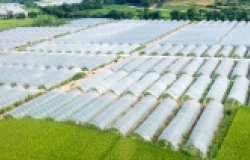 ag plastic china rural