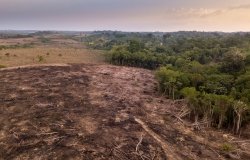 Drone aerial view of deforestation in the Amazon rainforest